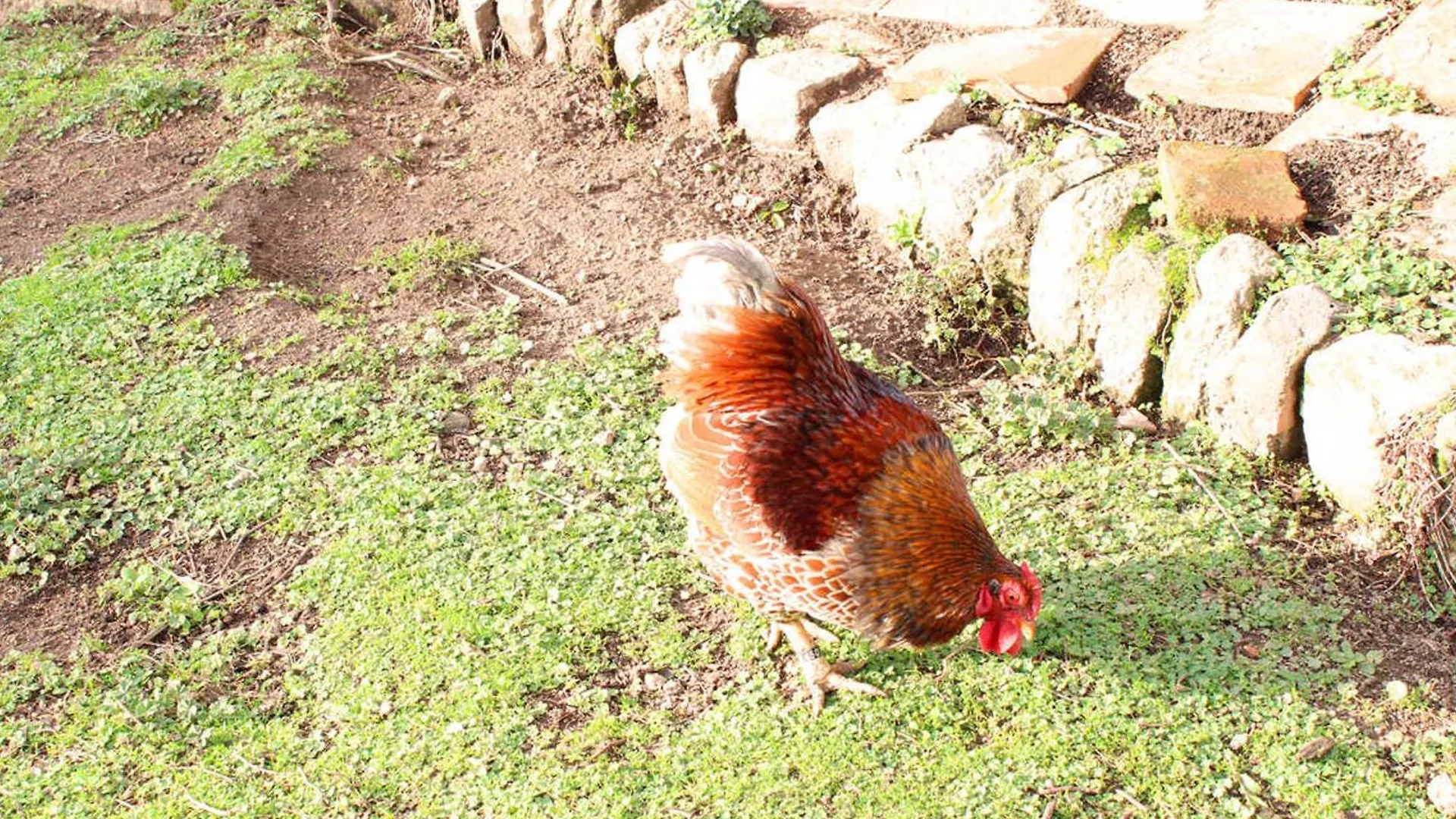 Gite Chaleureux Avec Jardin, Cheminee, Velos Et Equipements Eco-Responsables A Louroux-De-Beaune - Fr-1-489-349 Holiday home